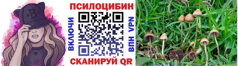 kraken зеркало  Облучье  Галлюциногенные грибы прущие грибы 